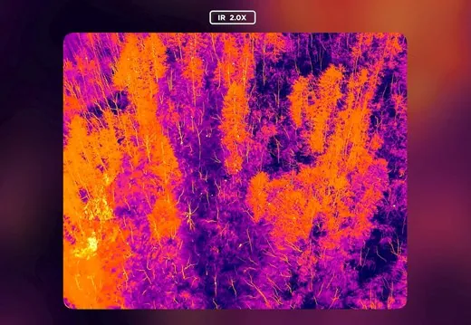 Thermal image of the line's protection corridor